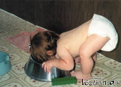 Baby-Fressnapf Baby-Fressnapf