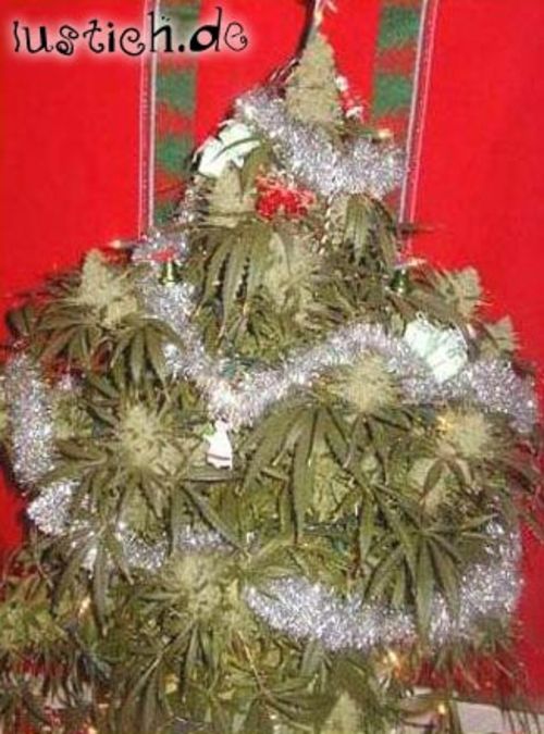 Hanf-Weihnachtsbaum Hanf-Weihnachtsbaum