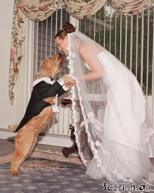 Tierische Hochzeit