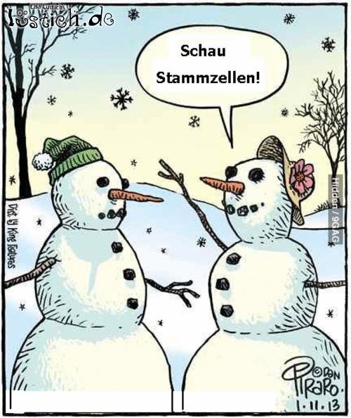 Schneemänner im Winter Bild lustich.de