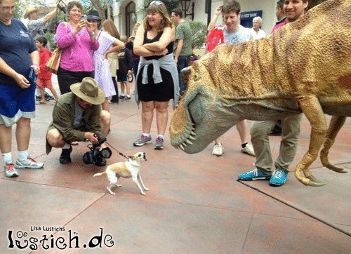 Hund vs. Dino