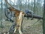Fahrrad gegen Baum