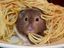 Maus isst Spagetti