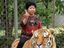 Tiger reiten