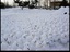 Eine eiskalte Invasion