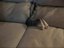 Katze versteckt sich