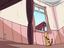 Mr. Cat hat ein unglaubliches Leben